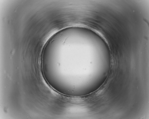 X0000103291007200808291104