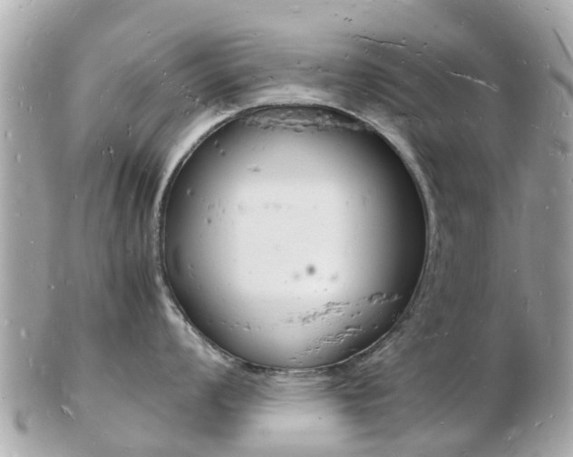 X0000103291008200808291104