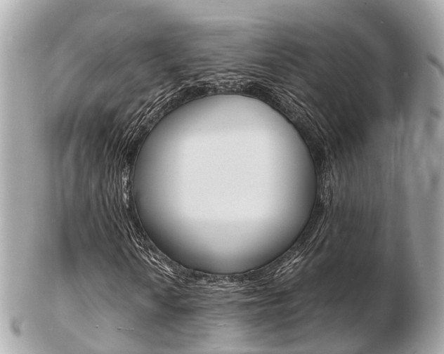 X0000103291010200808291103