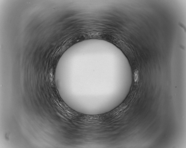 X0000103291011200808291103