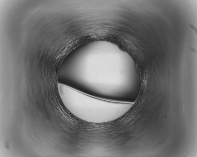 X0000103291012200808291103