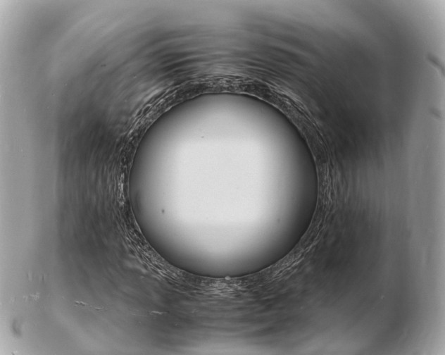 X0000103291013200808291103