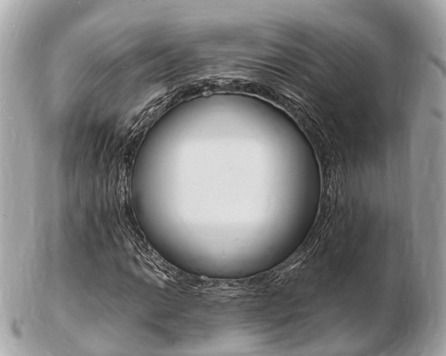 X0000103291014200808291103