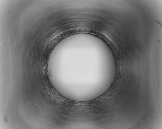 X0000103291015200808291103