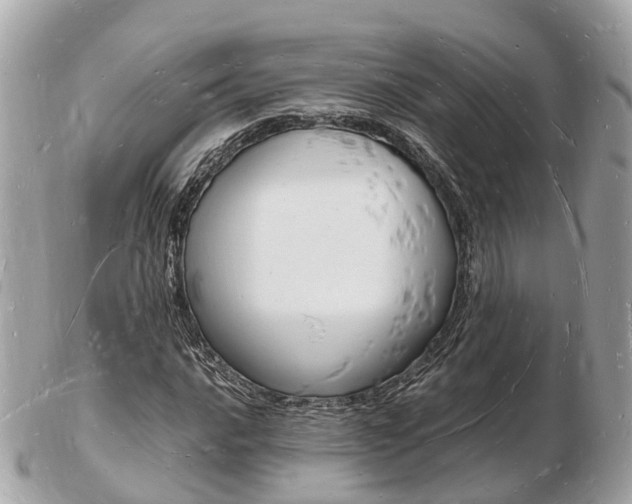 X0000103291016200808291103