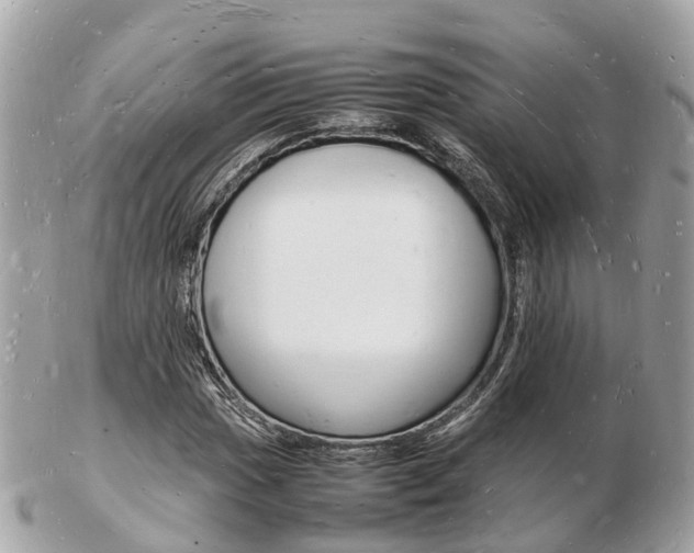 X0000103291017200808291103