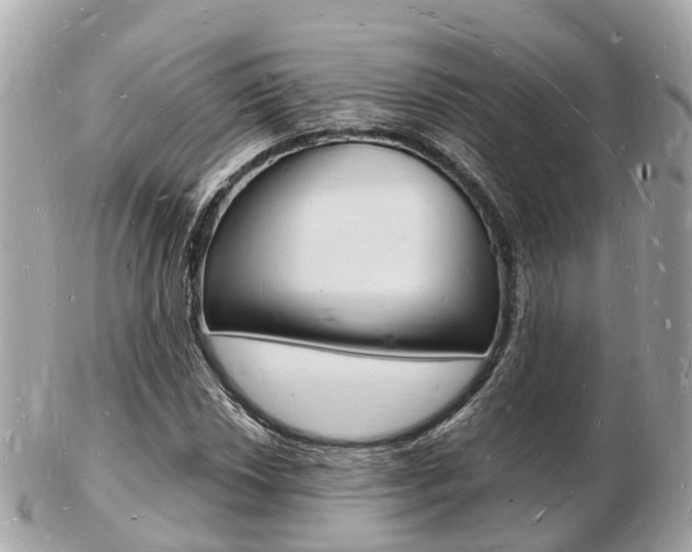 X0000103291018200808291103