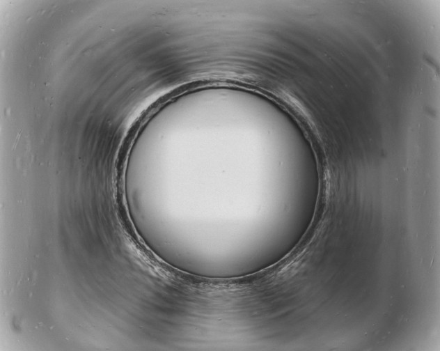 X0000103291020200808291103