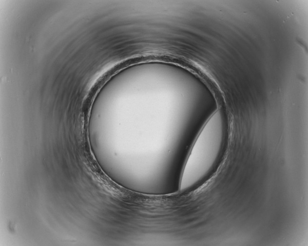 X0000103291021200808291103