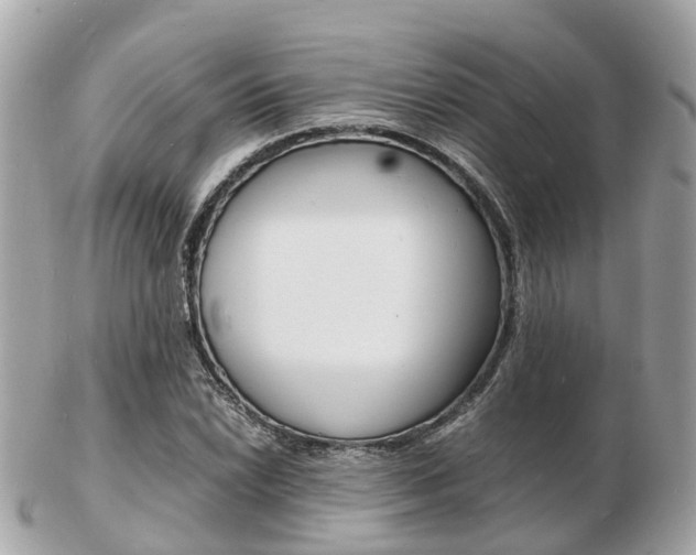 X0000103291022200808291103
