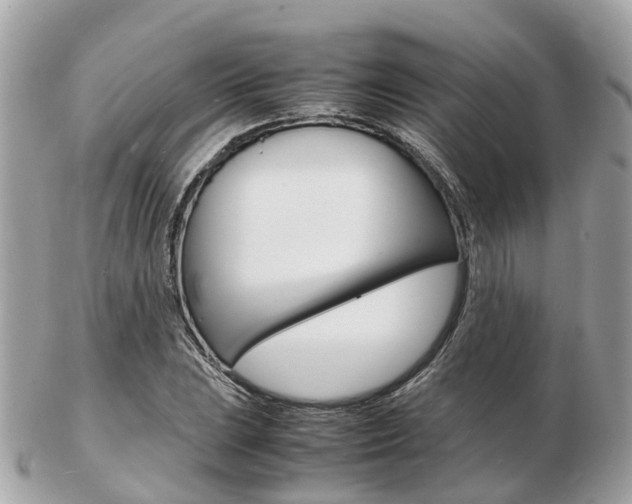 X0000103291023200808291103