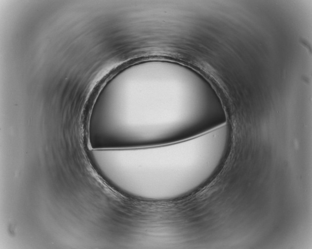 X0000103291024200808291103