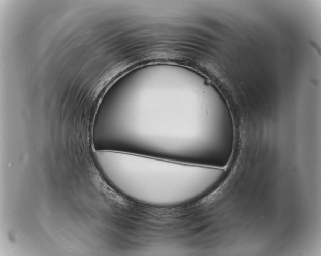 X0000103291025200808291103