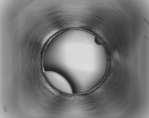 X0000103291026200808291103