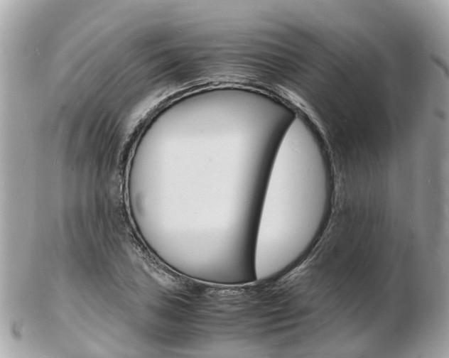 X0000103291027200808291103