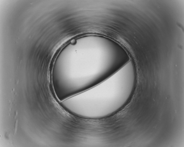 X0000103291028200808291103