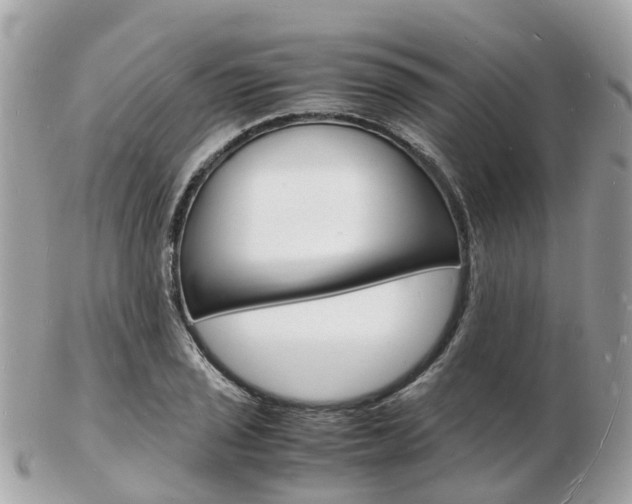 X0000103291029200808291103