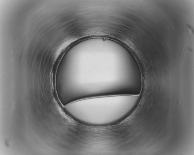 X0000103291030200808291103
