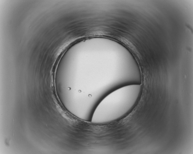 X0000103291031200808291103