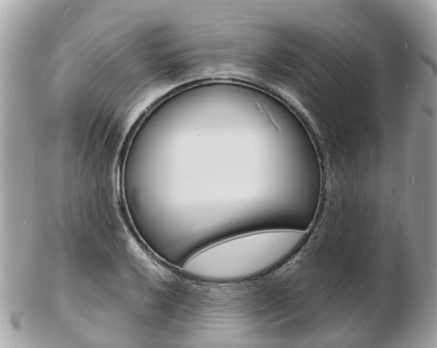 X0000103291032200808291103