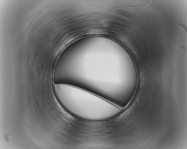 X0000103291033200808291103