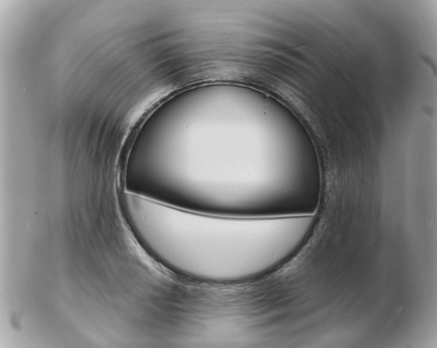 X0000103291034200808291103