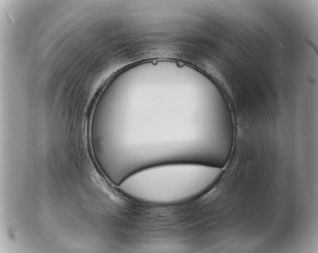 X0000103291035200808291103