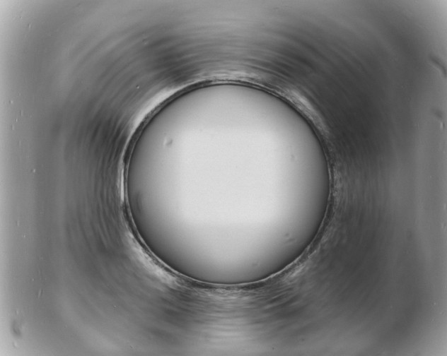 X0000103291036200808291103