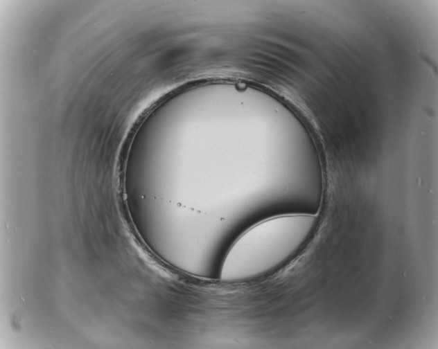 X0000103291037200808291103