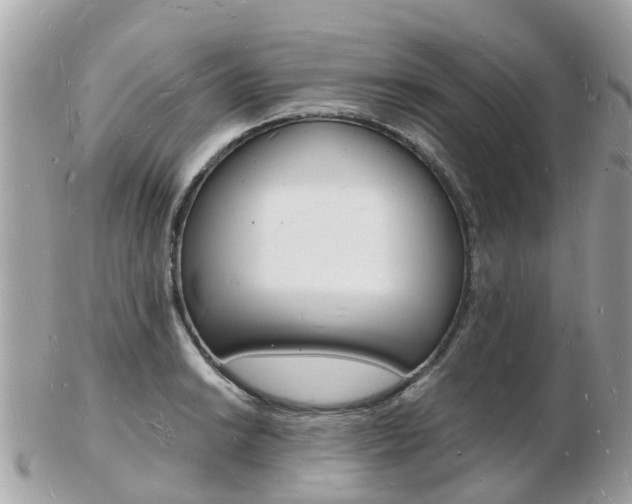 X0000103291038200808291103