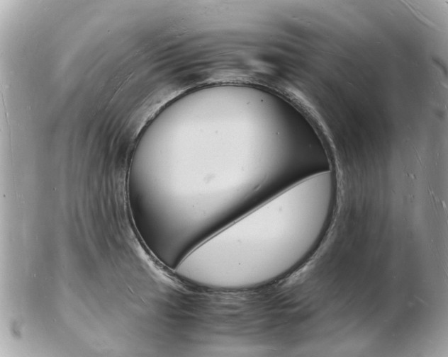 X0000103291041200808291103