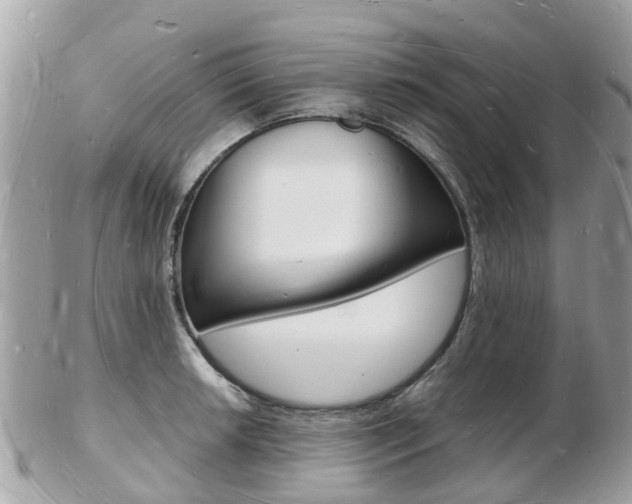X0000103291042200808291103
