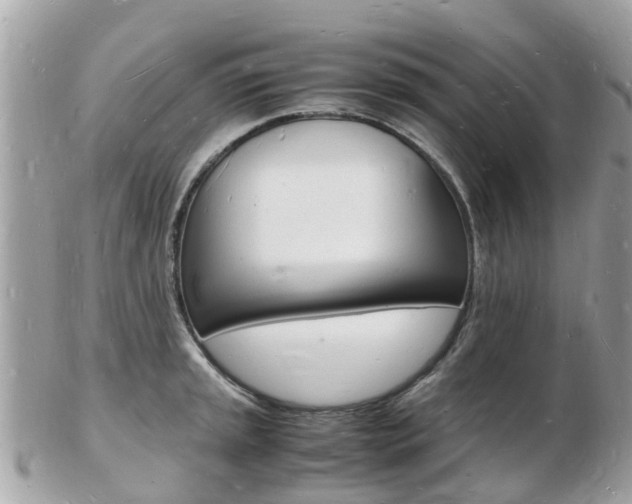 X0000103291045200808291103