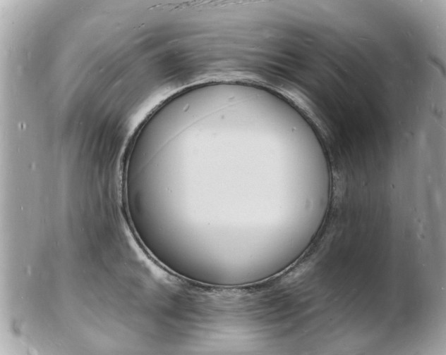 X0000103291046200808291103