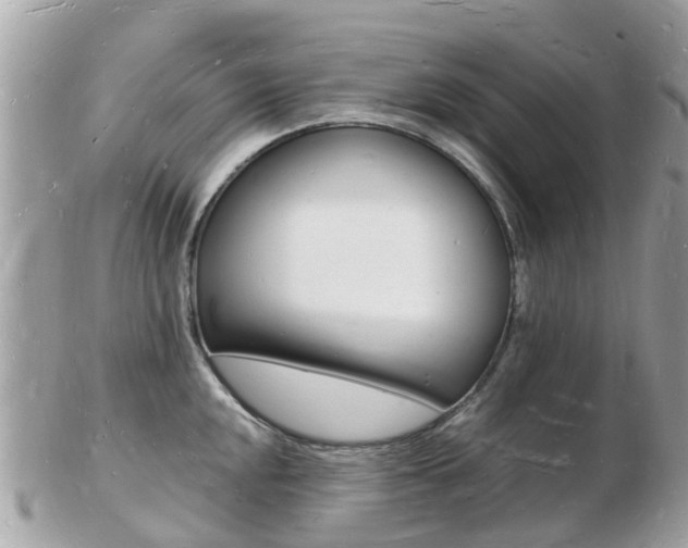 X0000103291048200808291104