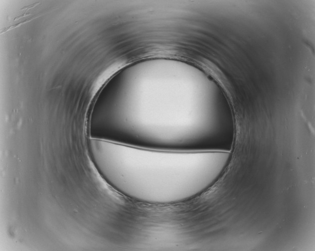 X0000103291050200808291104