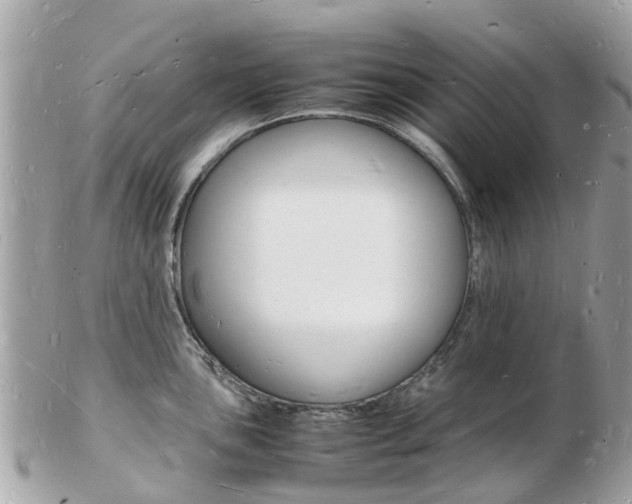 X0000103291051200808291104