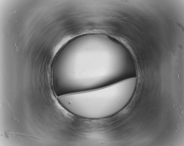 X0000103291054200808291104