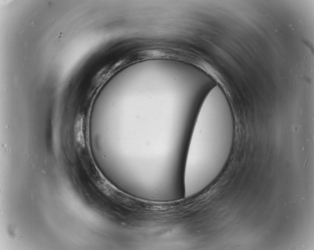 X0000103291055200808291104