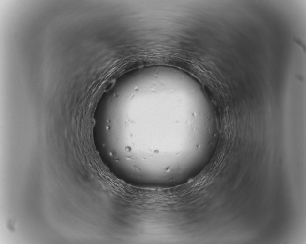 X0000103291057200808291103