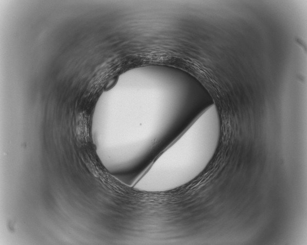 X0000103291058200808291103