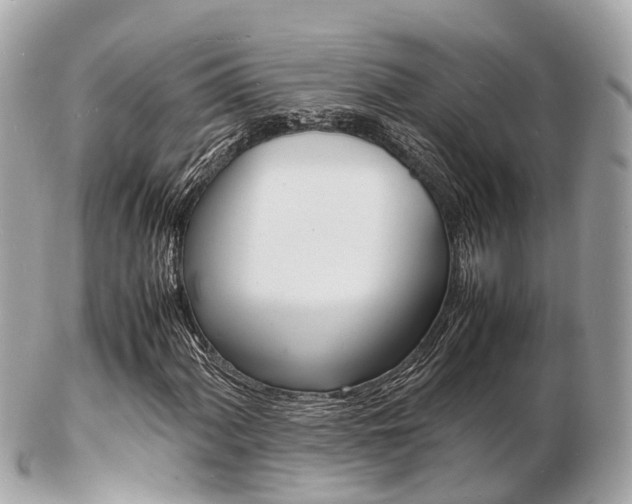 X0000103291060200808291103