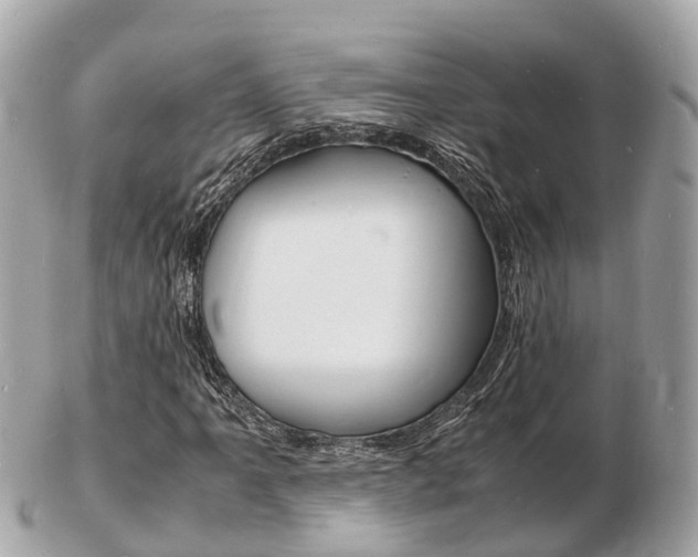 X0000103291061200808291103