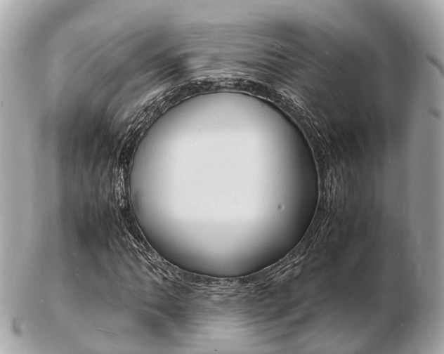 X0000103291062200808291103