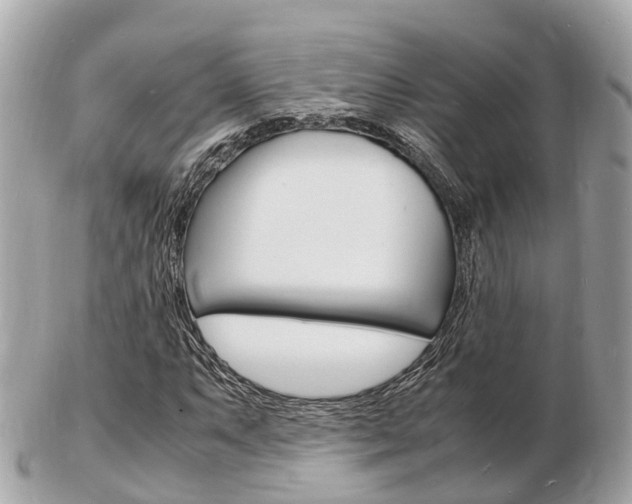 X0000103291063200808291103