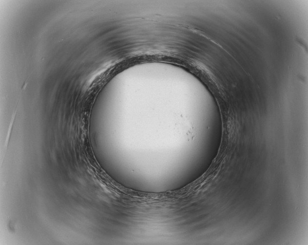 X0000103291064200808291103