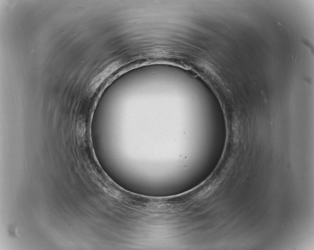 X0000103291065200808291103