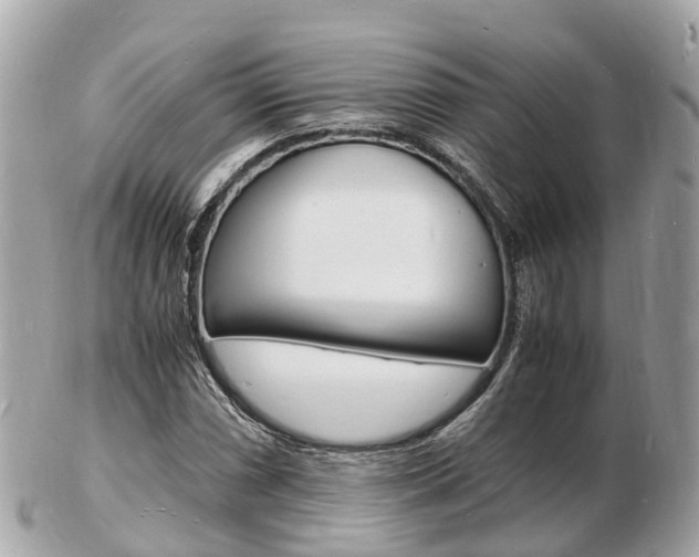 X0000103291066200808291103