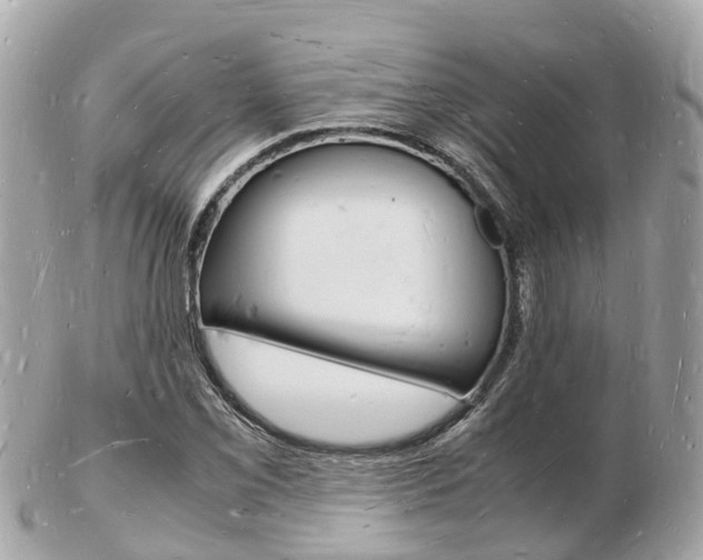 X0000103291069200808291103