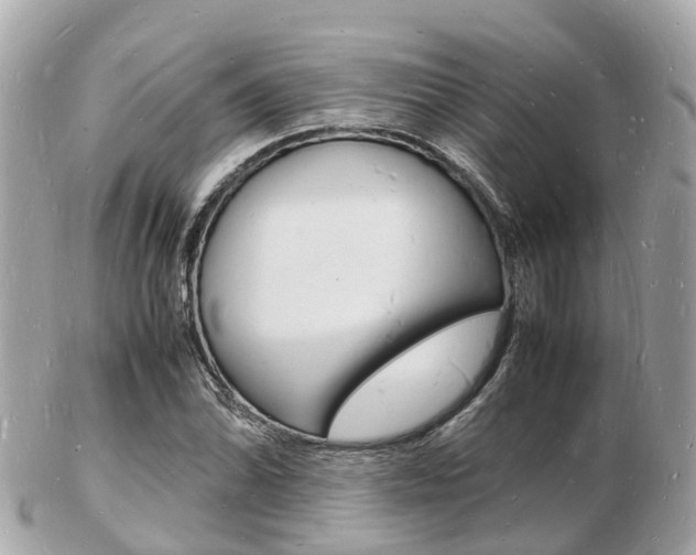 X0000103291070200808291103